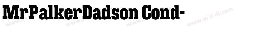 MrPalkerDadson Cond字体转换